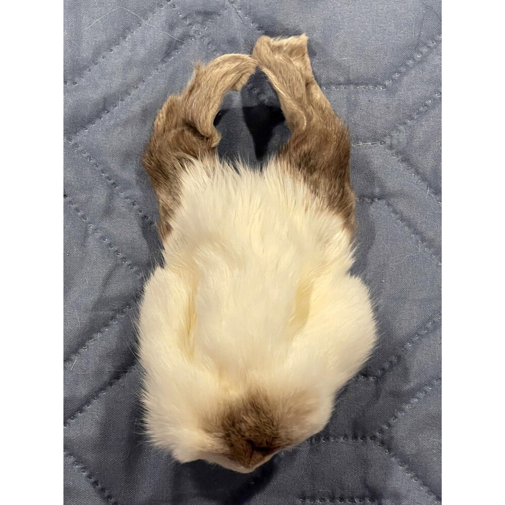 Genuine Rabbit Face Pelt White Brown Real Fur Taxidermy Oddities Curios Craft